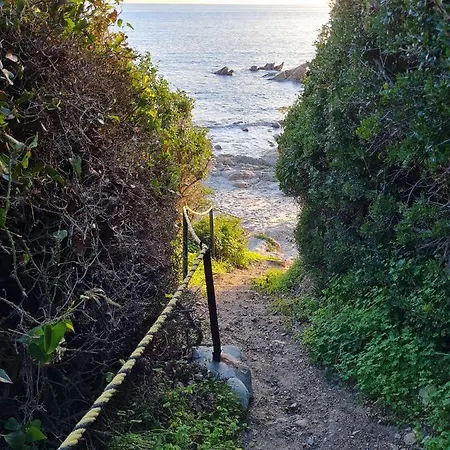 Apartment Cosyseaside Corsica Piscine Terrasse